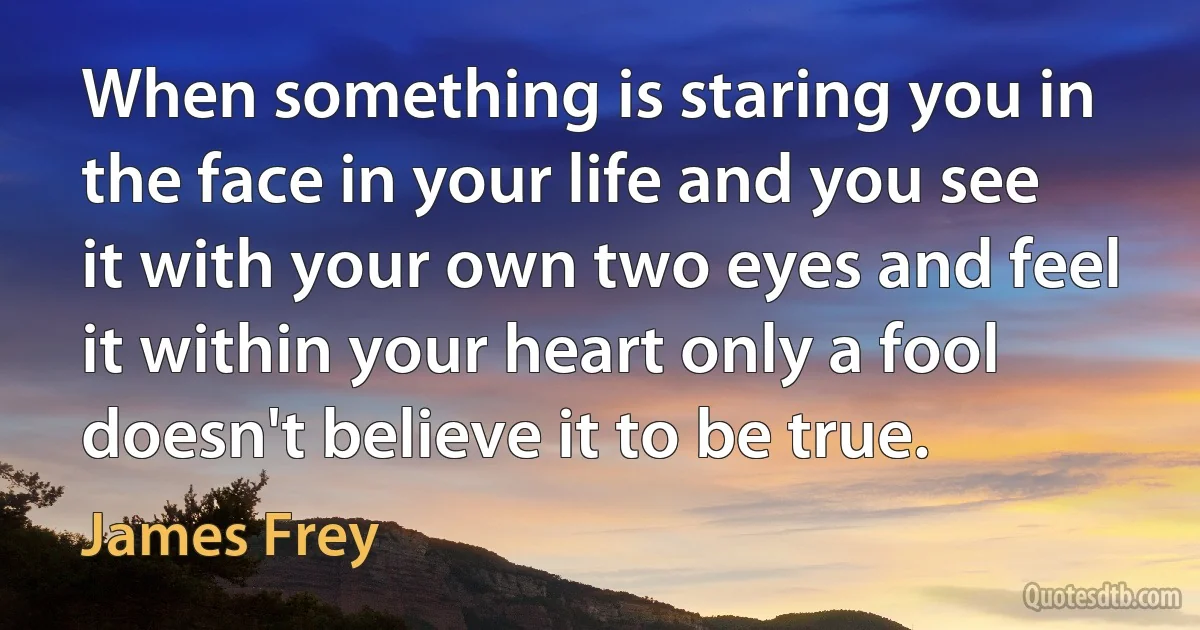 When something is staring you in the face in your life and you see it with your own two eyes and feel it within your heart only a fool doesn't believe it to be true. (James Frey)