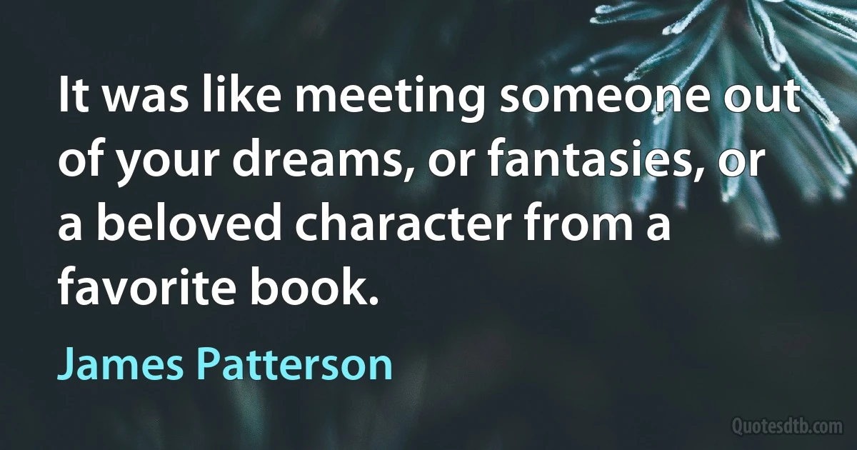 It was like meeting someone out of your dreams, or fantasies, or a beloved character from a favorite book. (James Patterson)