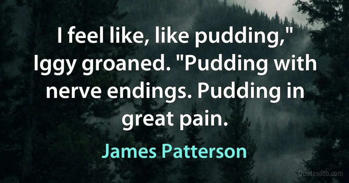 I feel like, like pudding," Iggy groaned. "Pudding with nerve endings. Pudding in great pain. (James Patterson)