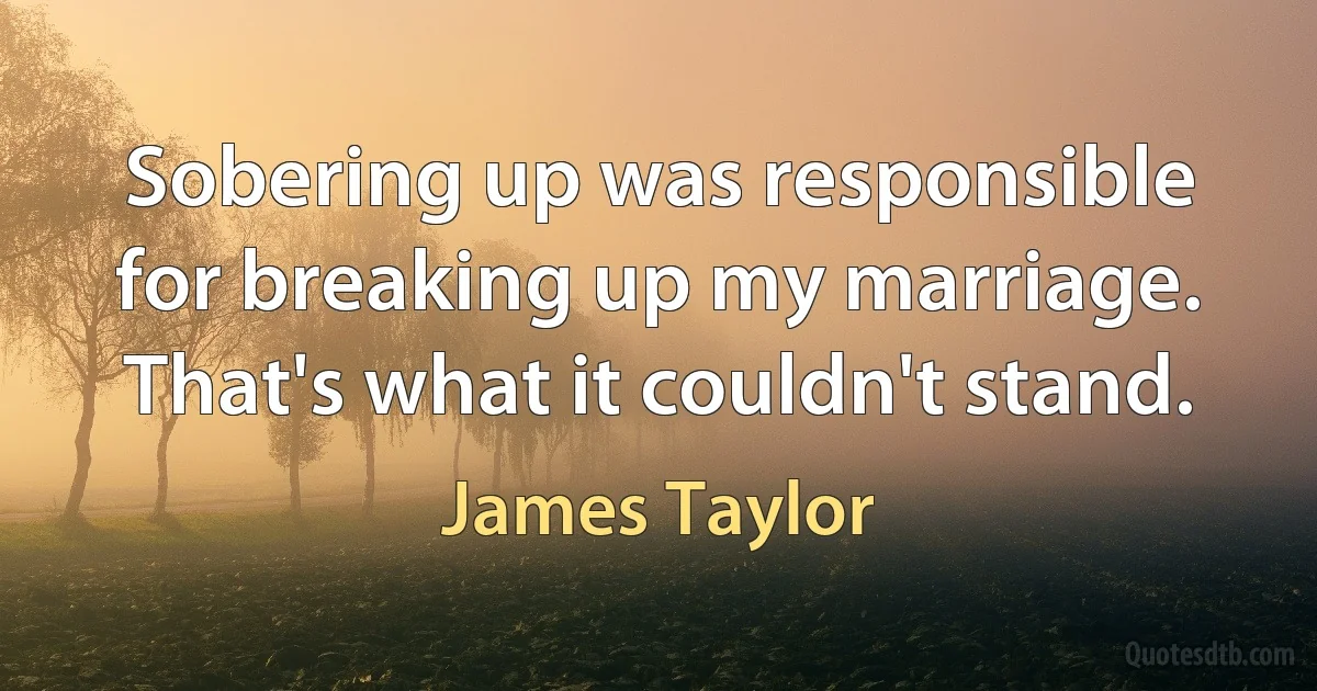 Sobering up was responsible for breaking up my marriage. That's what it couldn't stand. (James Taylor)