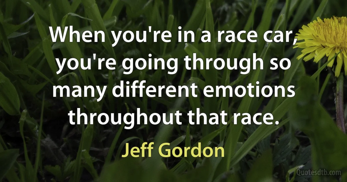 When you're in a race car, you're going through so many different emotions throughout that race. (Jeff Gordon)