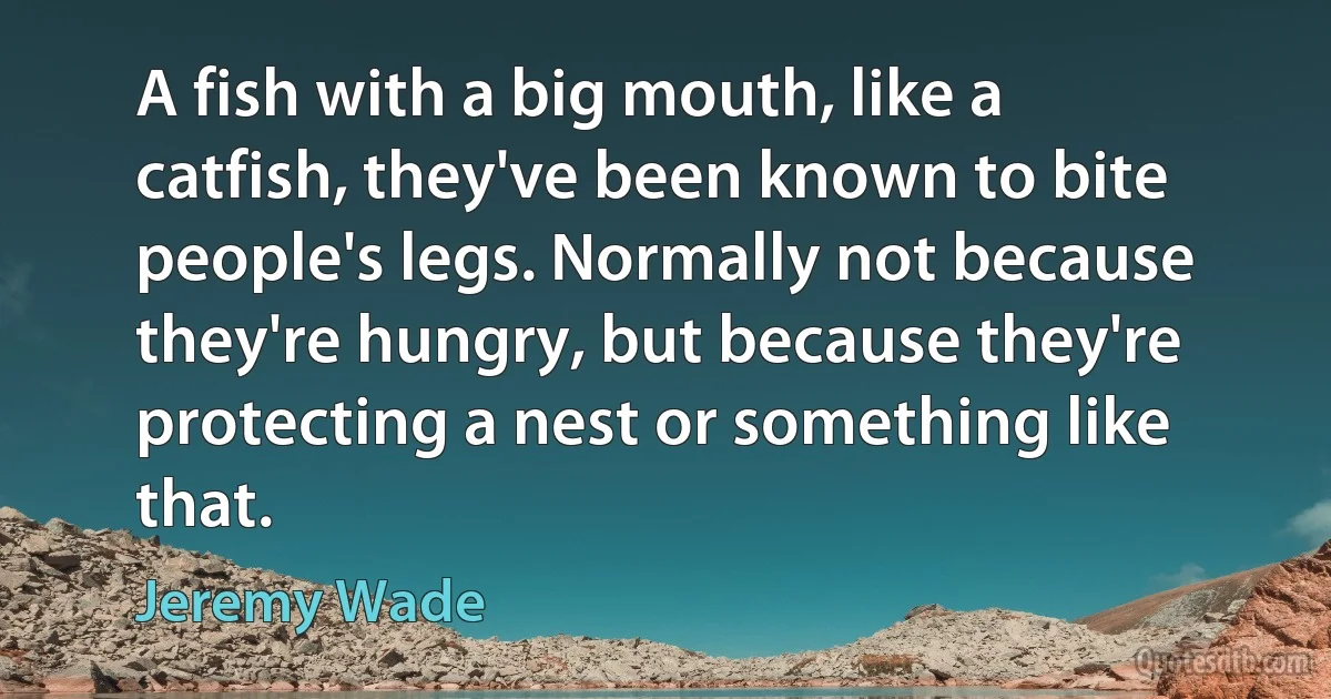 A fish with a big mouth, like a catfish, they've been known to bite people's legs. Normally not because they're hungry, but because they're protecting a nest or something like that. (Jeremy Wade)