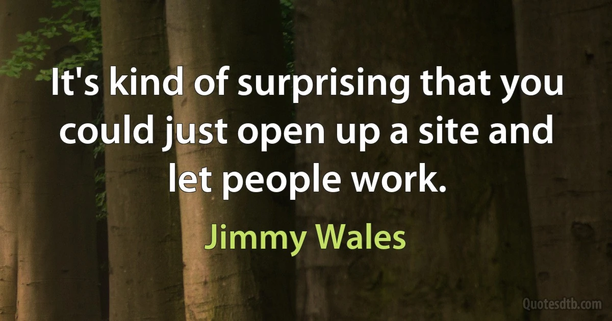 It's kind of surprising that you could just open up a site and let people work. (Jimmy Wales)