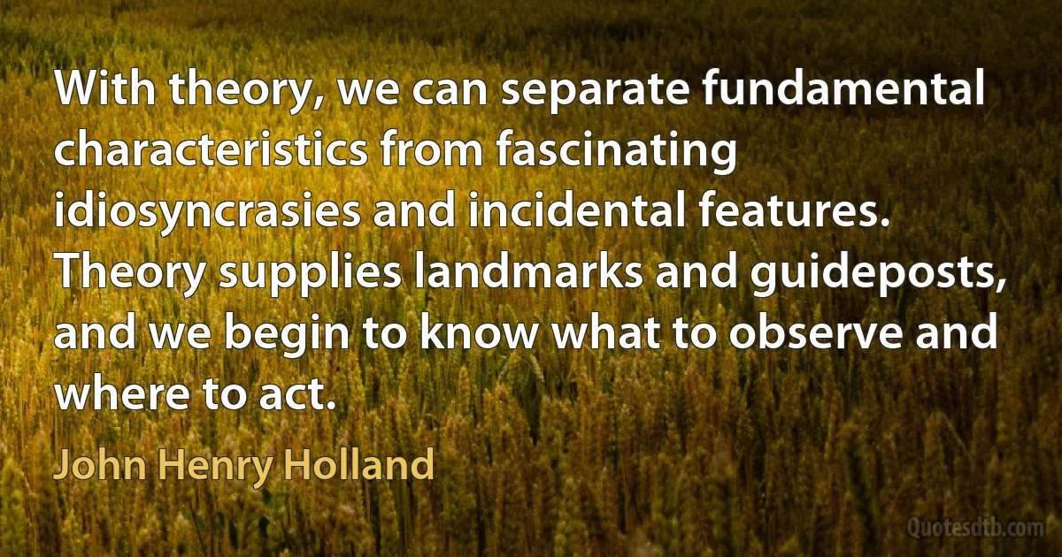 With theory, we can separate fundamental characteristics from fascinating idiosyncrasies and incidental features. Theory supplies landmarks and guideposts, and we begin to know what to observe and where to act. (John Henry Holland)