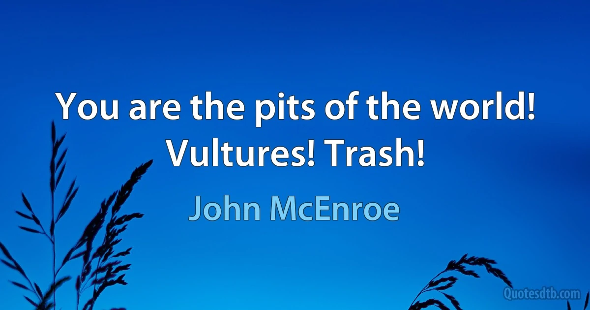 You are the pits of the world! Vultures! Trash! (John McEnroe)