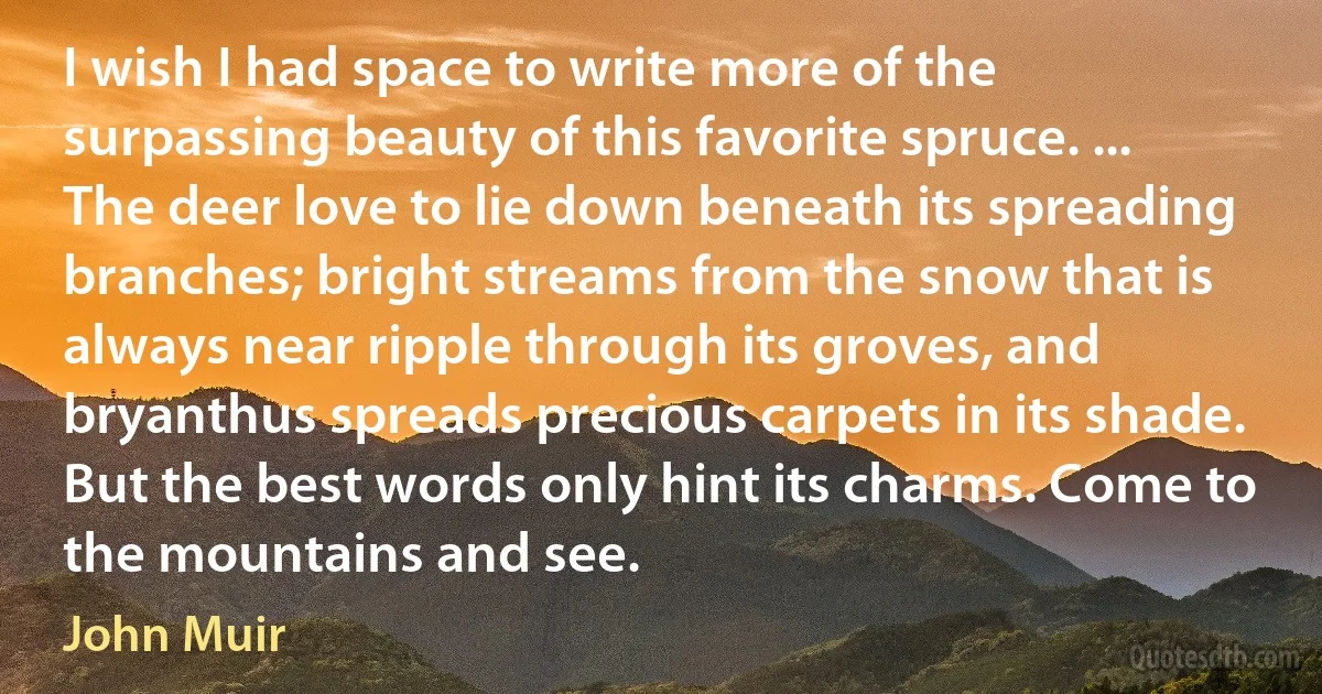 I wish I had space to write more of the surpassing beauty of this favorite spruce. ... The deer love to lie down beneath its spreading branches; bright streams from the snow that is always near ripple through its groves, and bryanthus spreads precious carpets in its shade. But the best words only hint its charms. Come to the mountains and see. (John Muir)