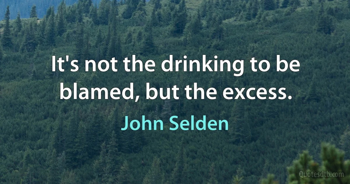 It's not the drinking to be blamed, but the excess. (John Selden)