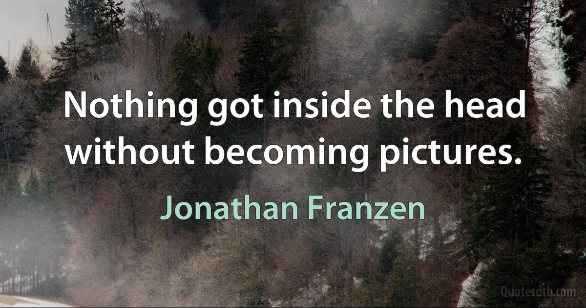 Nothing got inside the head without becoming pictures. (Jonathan Franzen)