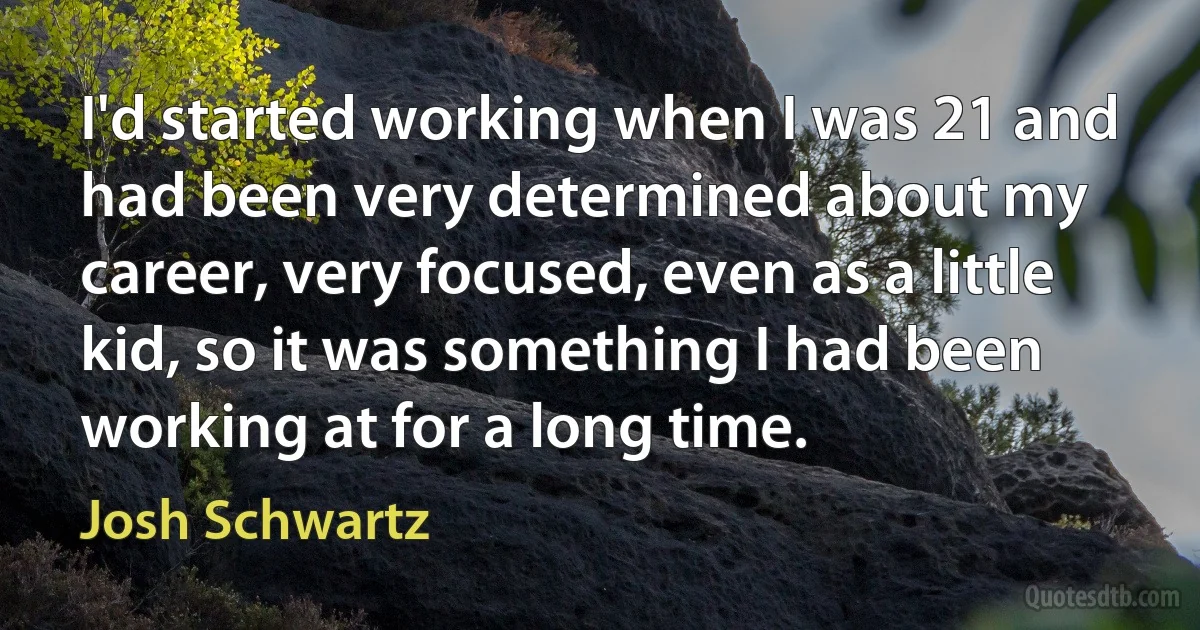 I'd started working when I was 21 and had been very determined about my career, very focused, even as a little kid, so it was something I had been working at for a long time. (Josh Schwartz)