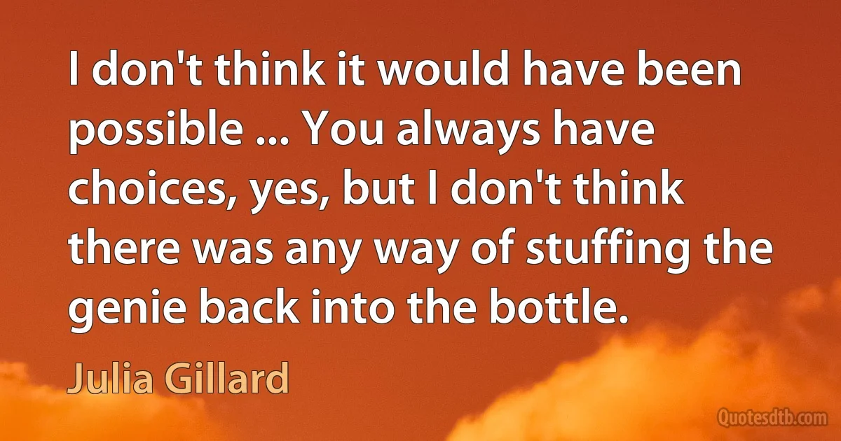 I don't think it would have been possible ... You always have choices, yes, but I don't think there was any way of stuffing the genie back into the bottle. (Julia Gillard)