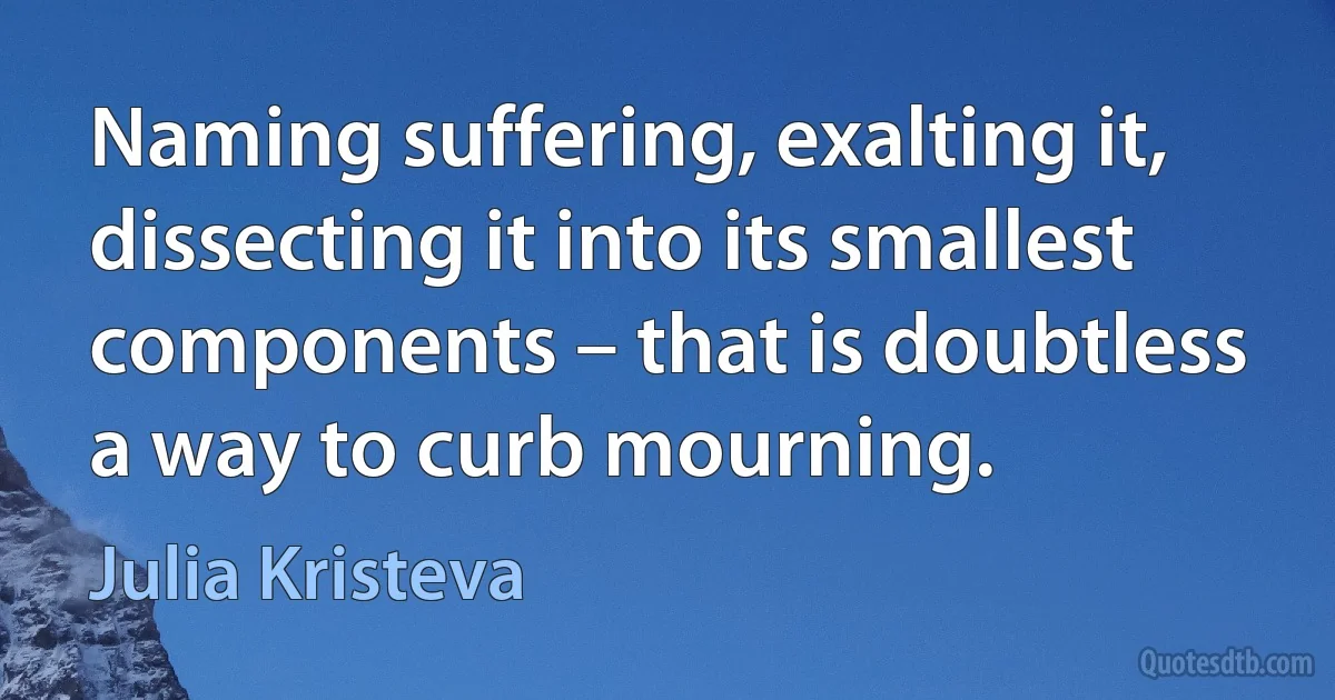 Naming suffering, exalting it, dissecting it into its smallest components – that is doubtless a way to curb mourning. (Julia Kristeva)