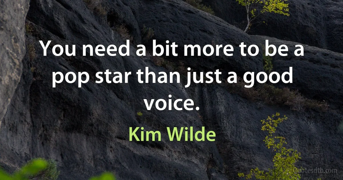 You need a bit more to be a pop star than just a good voice. (Kim Wilde)