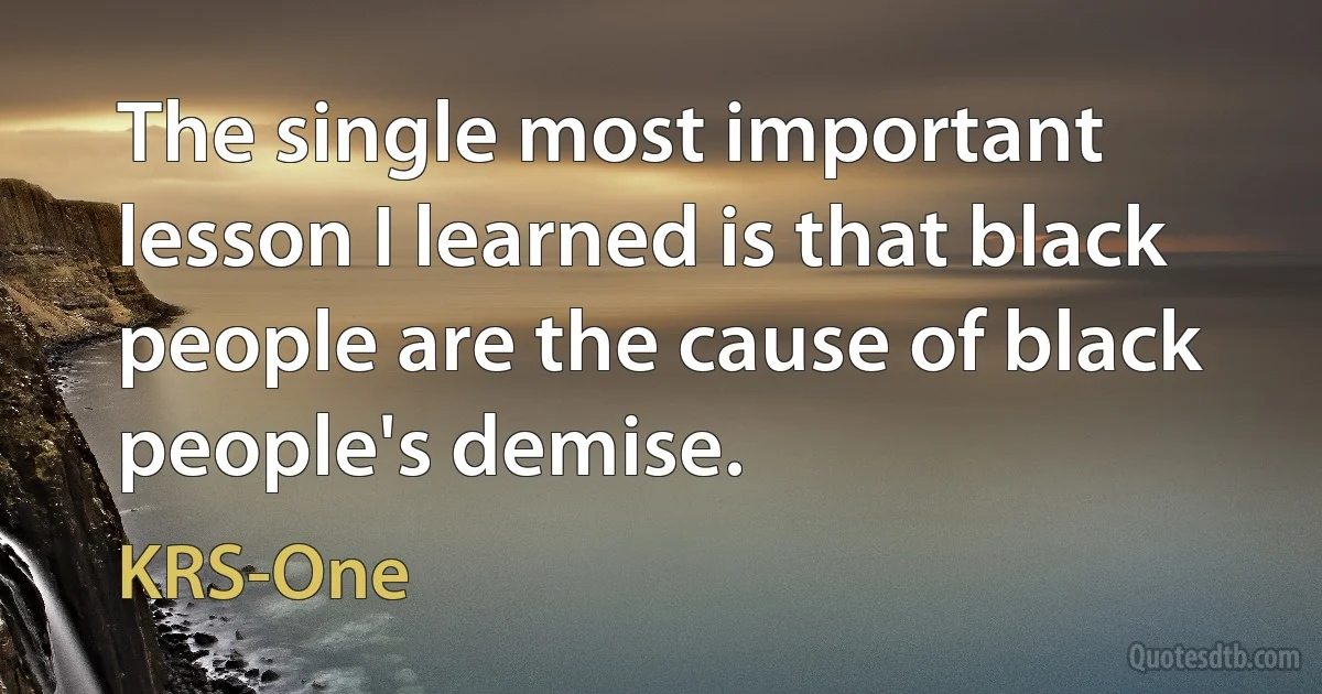 The single most important lesson I learned is that black people are the cause of black people's demise. (KRS-One)