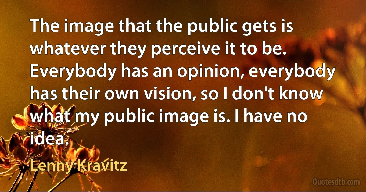 The image that the public gets is whatever they perceive it to be. Everybody has an opinion, everybody has their own vision, so I don't know what my public image is. I have no idea. (Lenny Kravitz)