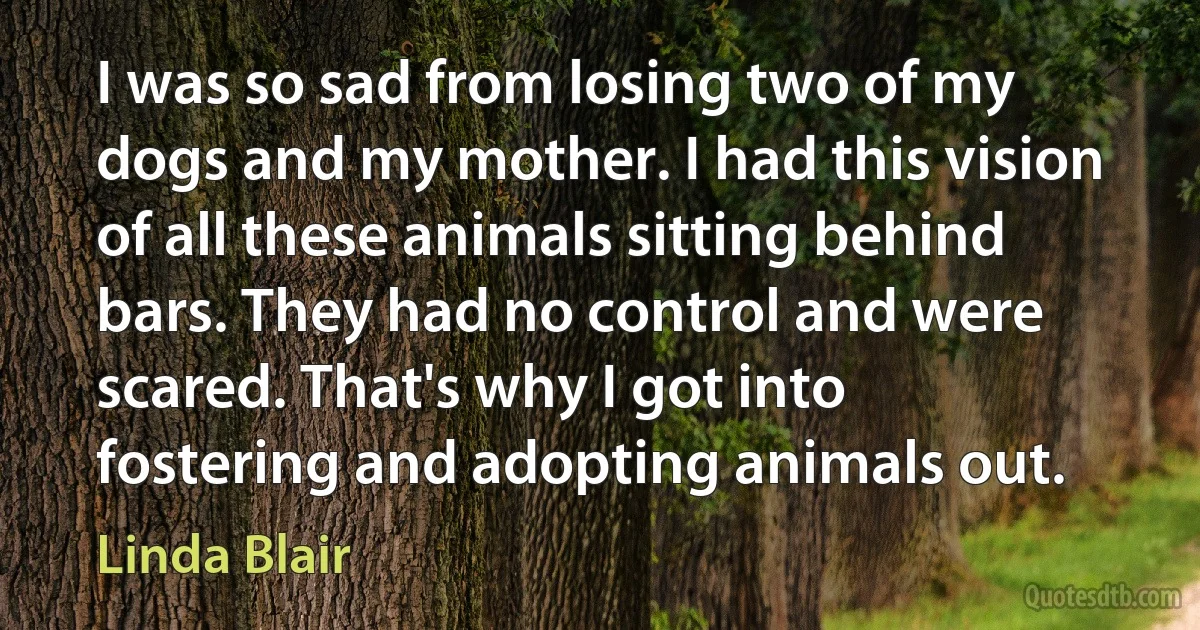 I was so sad from losing two of my dogs and my mother. I had this vision of all these animals sitting behind bars. They had no control and were scared. That's why I got into fostering and adopting animals out. (Linda Blair)