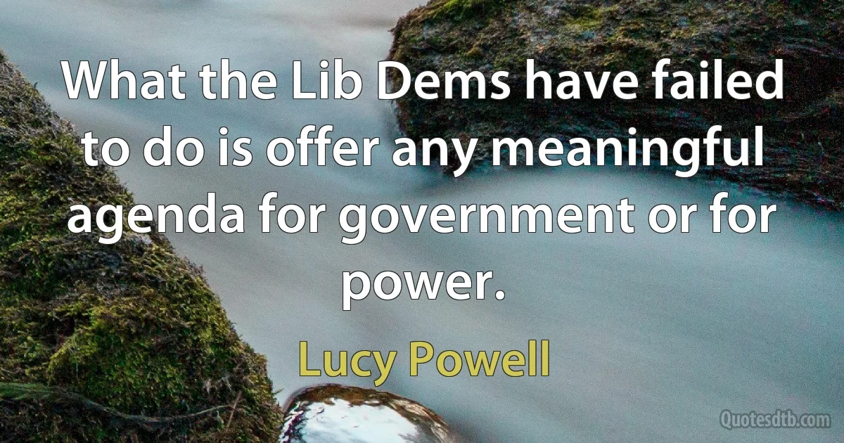 What the Lib Dems have failed to do is offer any meaningful agenda for government or for power. (Lucy Powell)