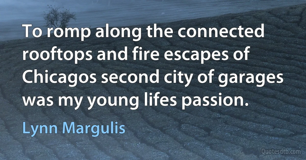 To romp along the connected rooftops and fire escapes of Chicagos second city of garages was my young lifes passion. (Lynn Margulis)