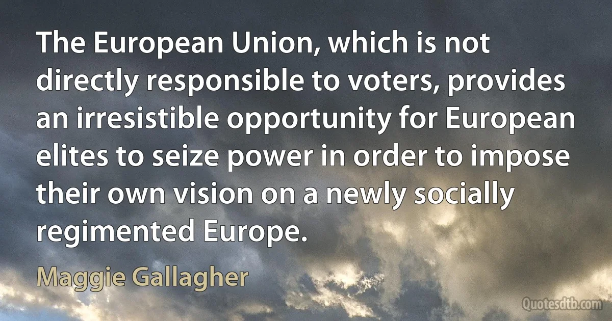 The European Union, which is not directly responsible to voters, provides an irresistible opportunity for European elites to seize power in order to impose their own vision on a newly socially regimented Europe. (Maggie Gallagher)