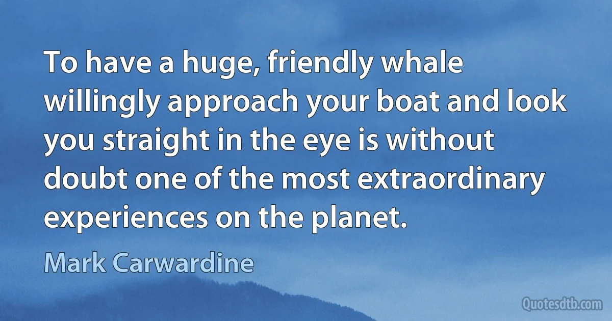 To have a huge, friendly whale willingly approach your boat and look you straight in the eye is without doubt one of the most extraordinary experiences on the planet. (Mark Carwardine)