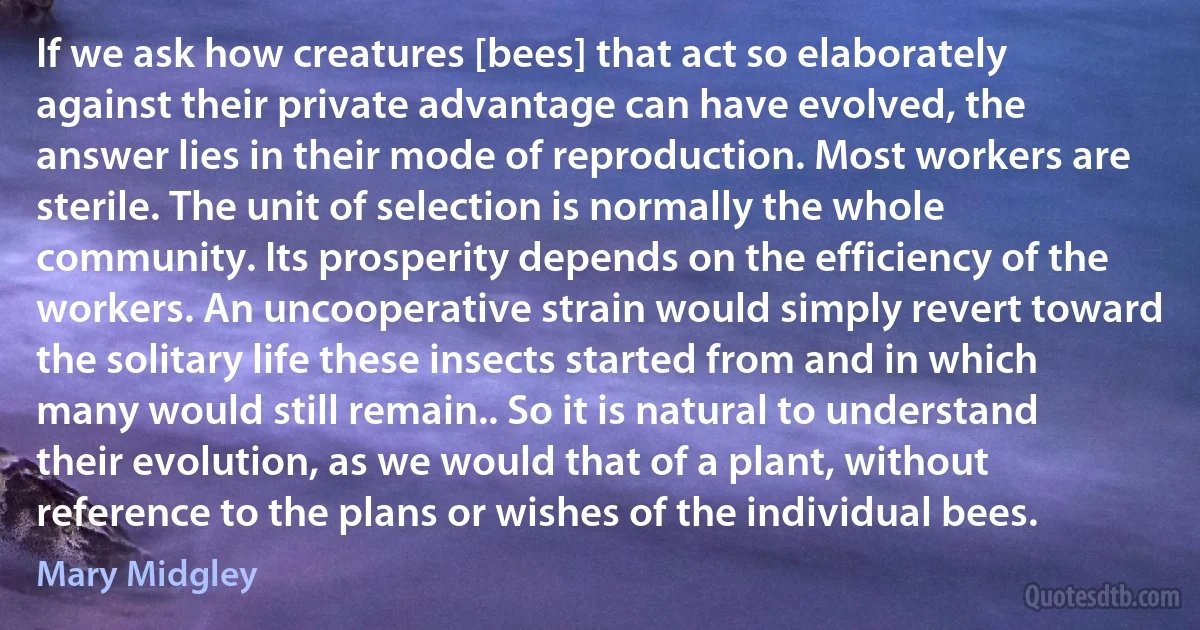 If we ask how creatures [bees] that act so elaborately against their private advantage can have evolved, the answer lies in their mode of reproduction. Most workers are sterile. The unit of selection is normally the whole community. Its prosperity depends on the efficiency of the workers. An uncooperative strain would simply revert toward the solitary life these insects started from and in which many would still remain.. So it is natural to understand their evolution, as we would that of a plant, without reference to the plans or wishes of the individual bees. (Mary Midgley)