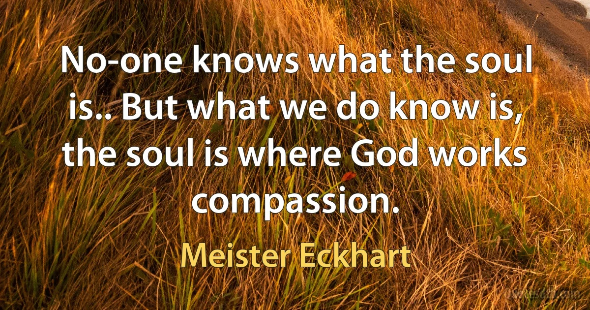 No-one knows what the soul is.. But what we do know is, the soul is where God works compassion. (Meister Eckhart)