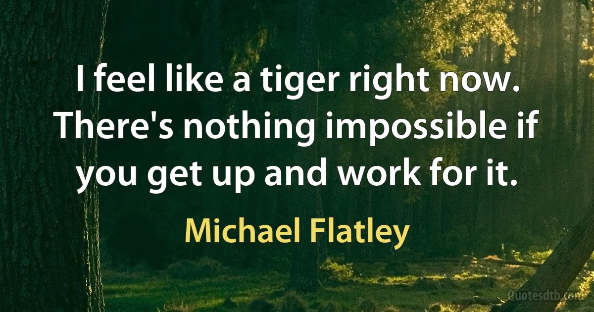 I feel like a tiger right now. There's nothing impossible if you get up and work for it. (Michael Flatley)