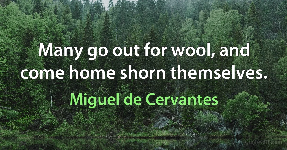 Many go out for wool, and come home shorn themselves. (Miguel de Cervantes)