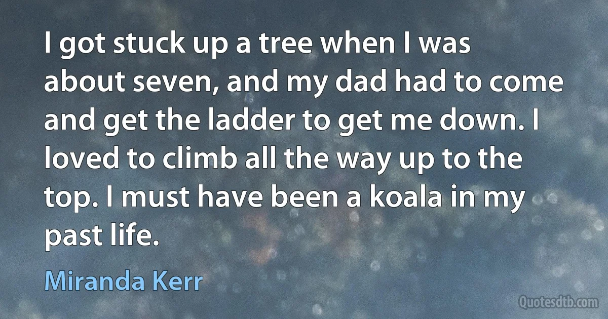 I got stuck up a tree when I was about seven, and my dad had to come and get the ladder to get me down. I loved to climb all the way up to the top. I must have been a koala in my past life. (Miranda Kerr)