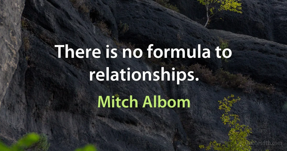 There is no formula to relationships. (Mitch Albom)