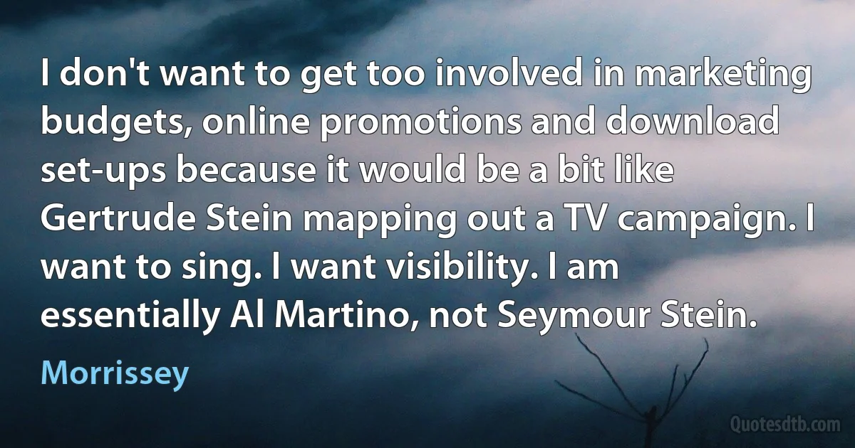 I don't want to get too involved in marketing budgets, online promotions and download set-ups because it would be a bit like Gertrude Stein mapping out a TV campaign. I want to sing. I want visibility. I am essentially Al Martino, not Seymour Stein. (Morrissey)