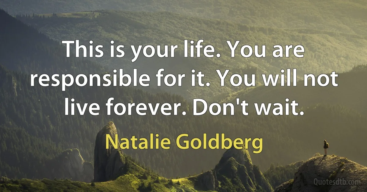 This is your life. You are responsible for it. You will not live forever. Don't wait. (Natalie Goldberg)