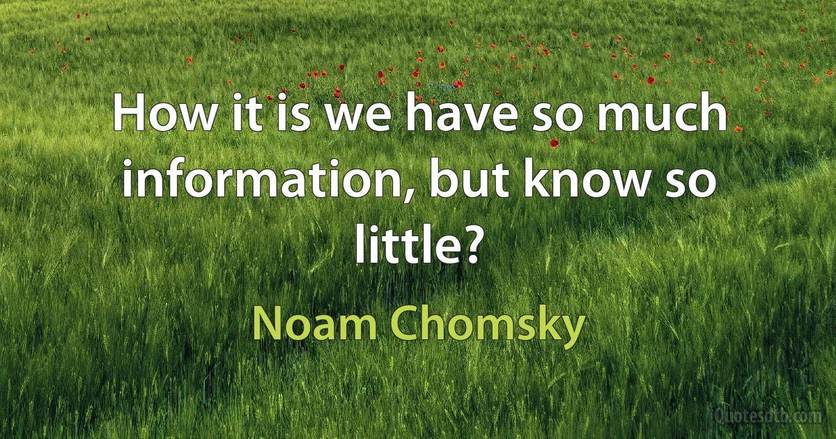 How it is we have so much information, but know so little? (Noam Chomsky)