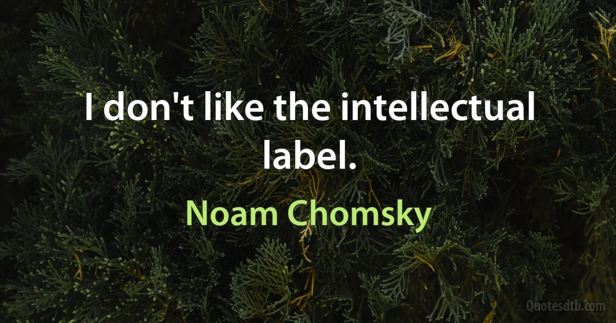 I don't like the intellectual label. (Noam Chomsky)