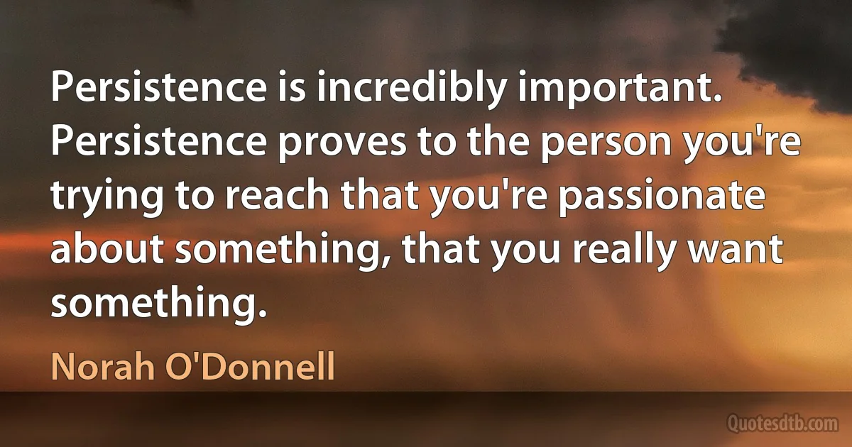 Persistence is incredibly important. Persistence proves to the person you're trying to reach that you're passionate about something, that you really want something. (Norah O'Donnell)