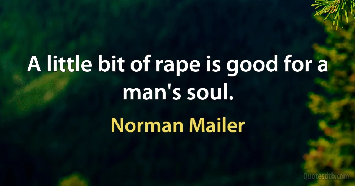 A little bit of rape is good for a man's soul. (Norman Mailer)