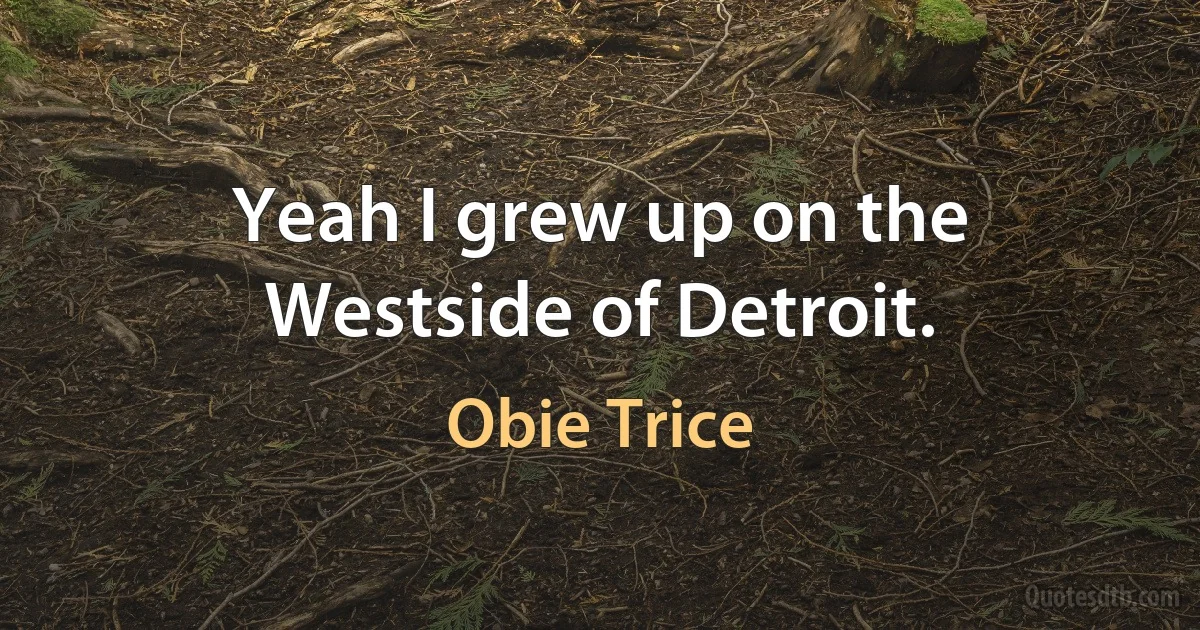 Yeah I grew up on the Westside of Detroit. (Obie Trice)