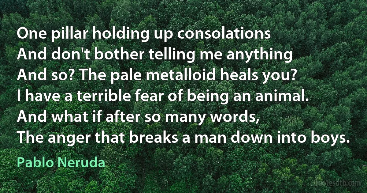 One pillar holding up consolations
And don't bother telling me anything
And so? The pale metalloid heals you?
I have a terrible fear of being an animal.
And what if after so many words,
The anger that breaks a man down into boys. (Pablo Neruda)