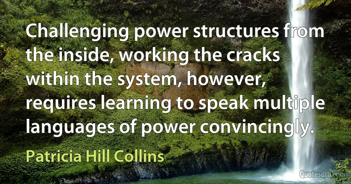 Challenging power structures from the inside, working the cracks within the system, however, requires learning to speak multiple languages of power convincingly. (Patricia Hill Collins)