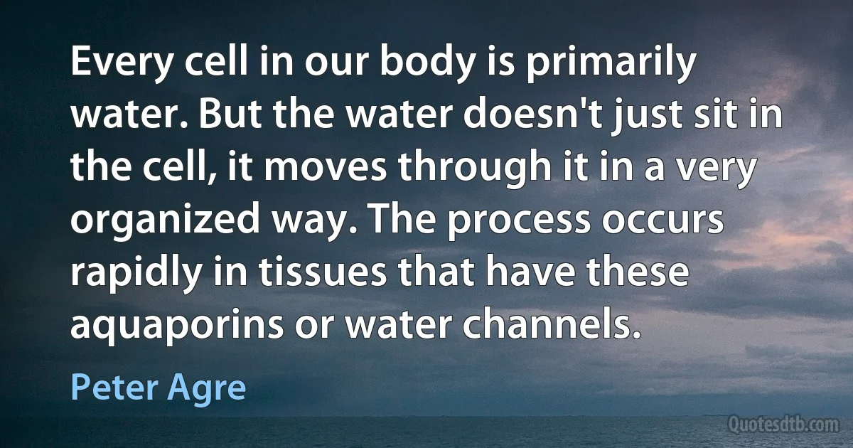 Every cell in our body is primarily water. But the water doesn't just sit in the cell, it moves through it in a very organized way. The process occurs rapidly in tissues that have these aquaporins or water channels. (Peter Agre)