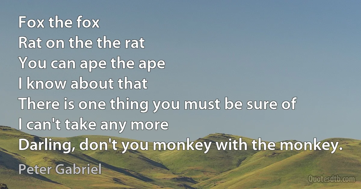 Fox the fox
Rat on the the rat
You can ape the ape
I know about that
There is one thing you must be sure of
I can't take any more
Darling, don't you monkey with the monkey. (Peter Gabriel)