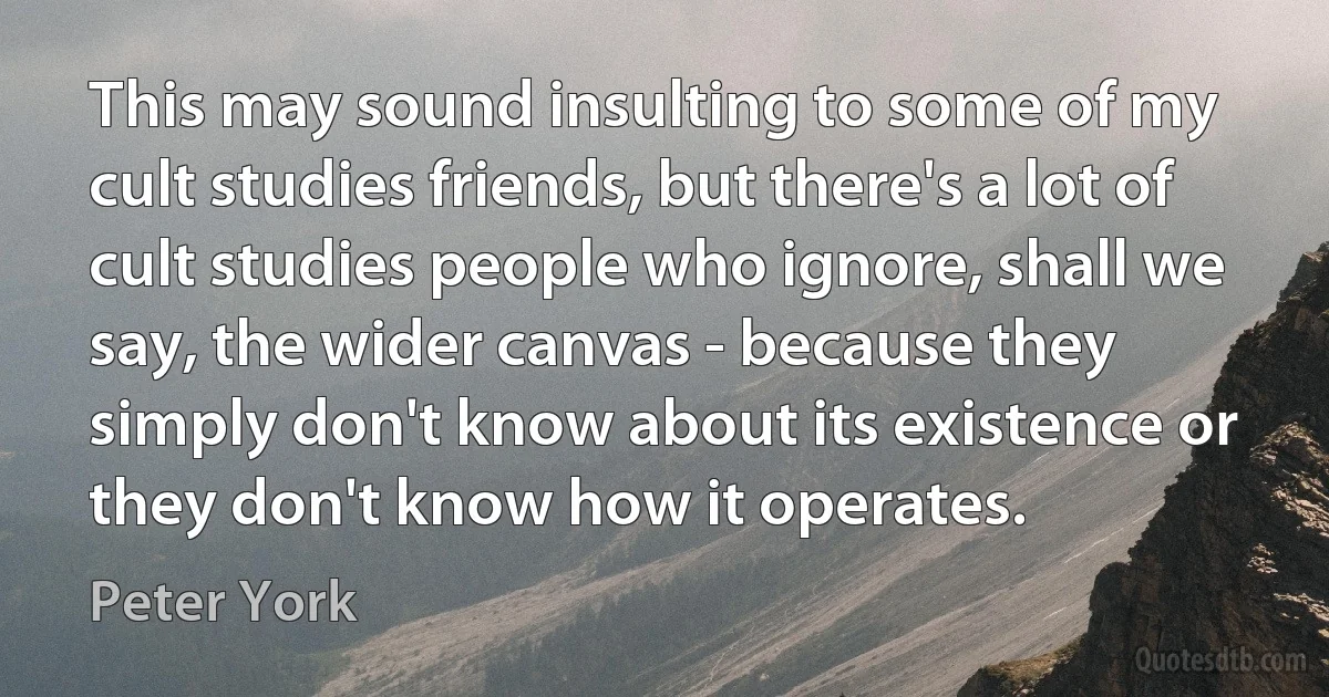 This may sound insulting to some of my cult studies friends, but there's a lot of cult studies people who ignore, shall we say, the wider canvas - because they simply don't know about its existence or they don't know how it operates. (Peter York)