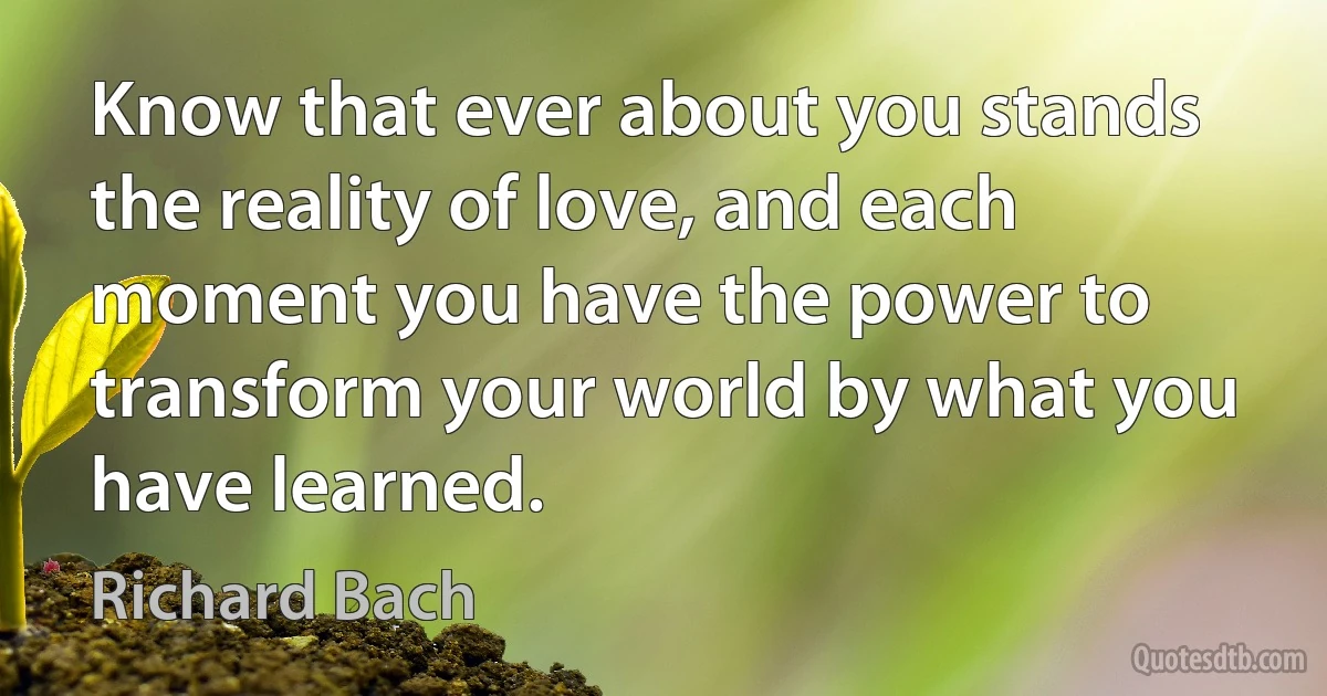 Know that ever about you stands the reality of love, and each moment you have the power to transform your world by what you have learned. (Richard Bach)