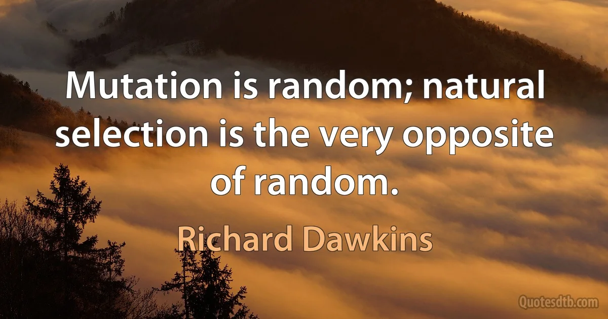 Mutation is random; natural selection is the very opposite of random. (Richard Dawkins)