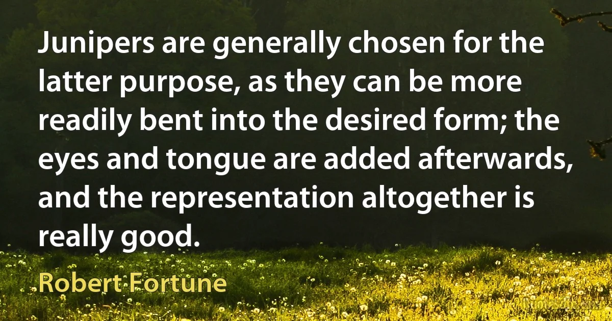 Junipers are generally chosen for the latter purpose, as they can be more readily bent into the desired form; the eyes and tongue are added afterwards, and the representation altogether is really good. (Robert Fortune)