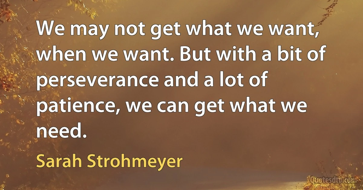 We may not get what we want, when we want. But with a bit of perseverance and a lot of patience, we can get what we need. (Sarah Strohmeyer)