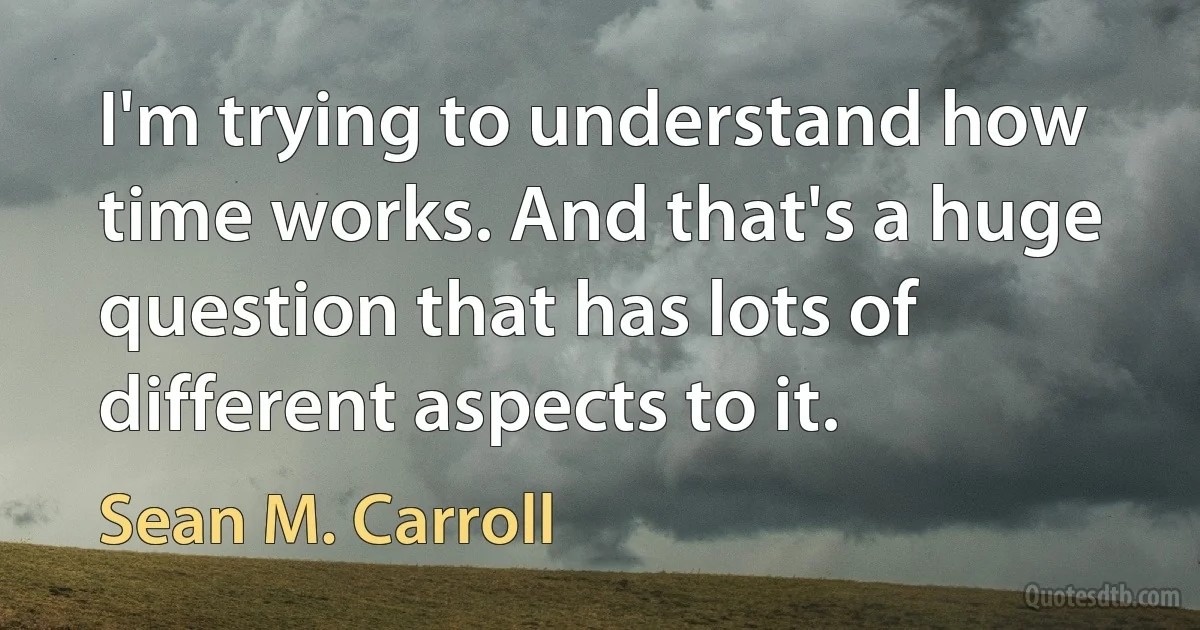 I'm trying to understand how time works. And that's a huge question that has lots of different aspects to it. (Sean M. Carroll)