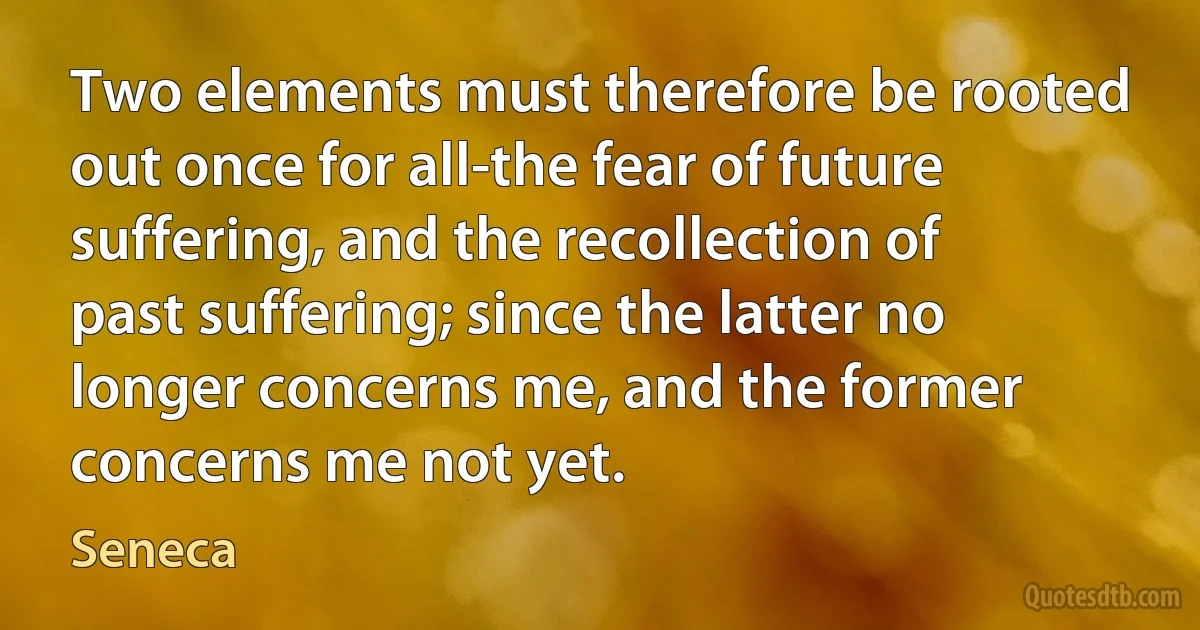 Two elements must therefore be rooted out once for all-the fear of future suffering, and the recollection of past suffering; since the latter no longer concerns me, and the former concerns me not yet. (Seneca)