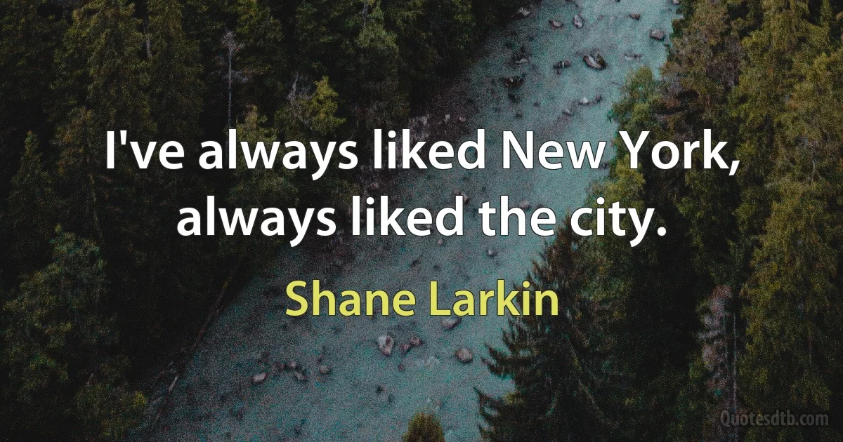 I've always liked New York, always liked the city. (Shane Larkin)