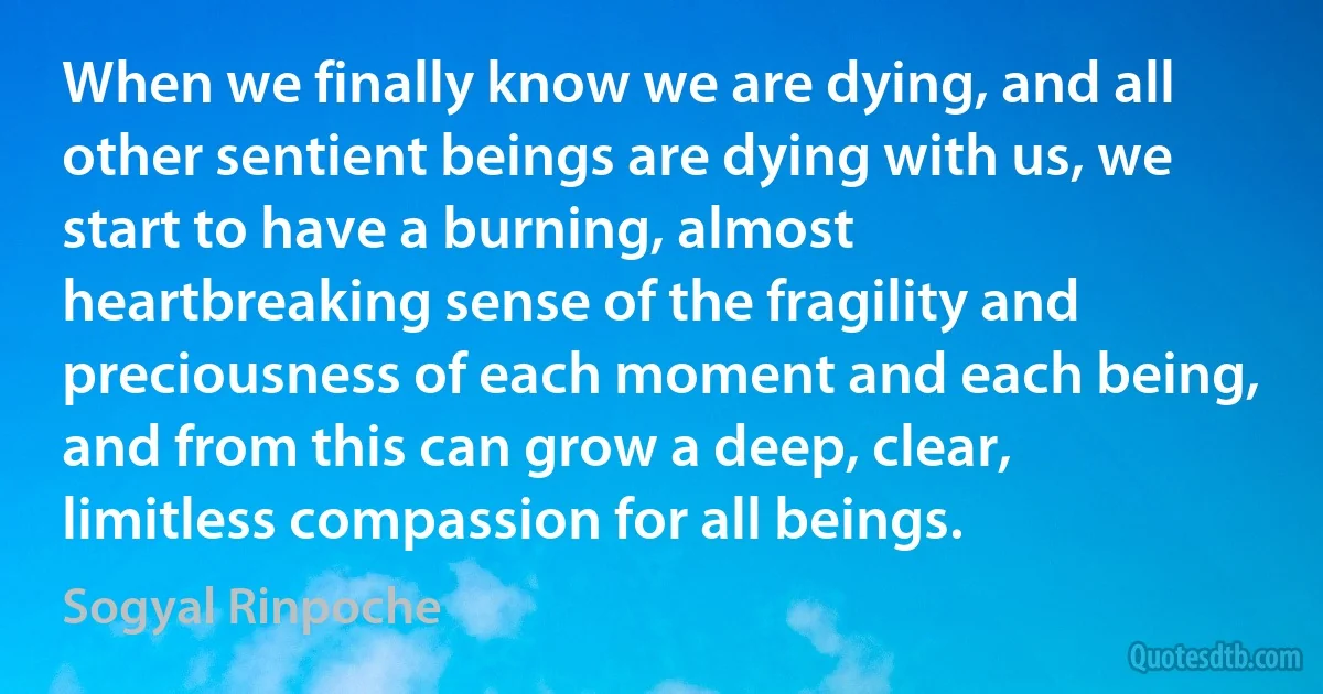 When we finally know we are dying, and all other sentient beings are dying with us, we start to have a burning, almost heartbreaking sense of the fragility and preciousness of each moment and each being, and from this can grow a deep, clear, limitless compassion for all beings. (Sogyal Rinpoche)