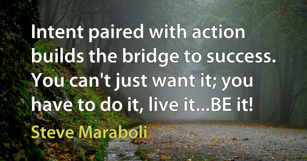 Intent paired with action builds the bridge to success. You can't just want it; you have to do it, live it...BE it! (Steve Maraboli)